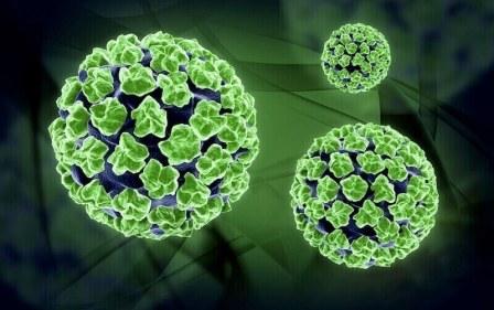 Papilomavirus humano y el cáncer cervicouterino